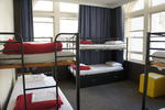 Nomads Auckland - Image 10