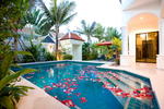 Photos of Palm Grove Resort