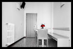Ciao Hostel - Image 7