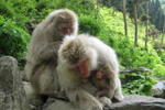 Obuse-no-Kaze Youth Hostel - Image 6