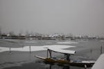 Houseboat Young Bombay - Image 7
