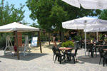 Norcenni Girasole Club - Image 3