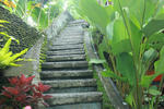 Jati Home Stay and Gallery - Image 2