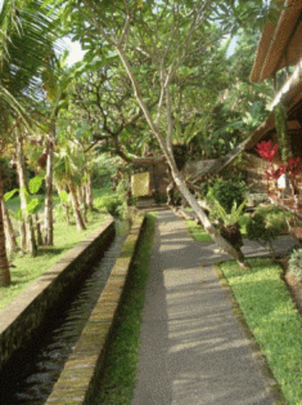 Jati Home Stay and Gallery  2