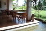 Jati Home Stay and Gallery - Image 7