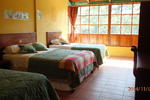 Biohostal Mindo Cloud Forest - Image 7