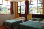 Biohostal Mindo Cloud Forest - Image 9