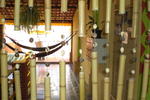 Nega Maluca Guesthouse - Image 10