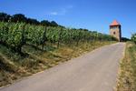 Photos of Youth Hostel Remerschen (Schengen)