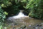 Photos of Le Moulin de la Fontaine des Eaux