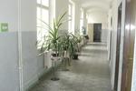 Alfa Tourist Service - Hostel Arnosta - Image 6