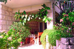 Photos of Heaven's Gate Hostel