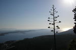 Heaven's Gate Hostel - Image 10