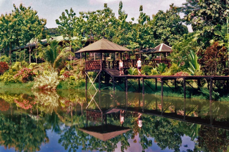 Sepilok Jungle Resort  0