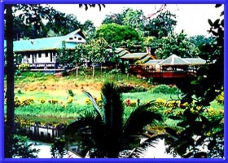 Sepilok Jungle Resort  2