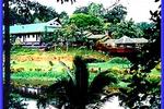 Sepilok Jungle Resort - Image 3