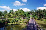 Sepilok Jungle Resort - Image 7