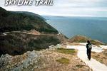 Cabot Trail Hostel Cape Breton - Image 4