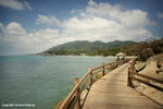 Photos of Lighthouse Bungalows