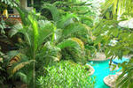 Hostel Experiencia Cuernavaca - Image 6