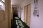 Tauranga Central Backpackers - Image 2