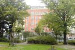 The Pirate Hostel - Image 7