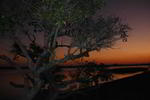 Brisas del Mediterraneo Hostel&Camping - Image 2