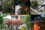 Emerald Hostel - Image 7