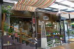 Photos of The House Hostel