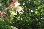 Photos of Hotel La Colina
