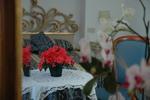 Photos of Hotel Villa Gabrisa