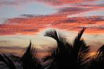 Photos of Coral Reef Beach Aruba