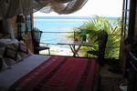 Photos of Coral Reef Beach Aruba
