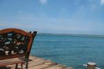 Photos of Coral Reef Beach Aruba