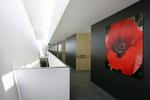 Alberg De Centre Esplai - Image 4