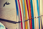 Blue Trailz - Image 7