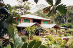 Suchipakari Jungle Lodge