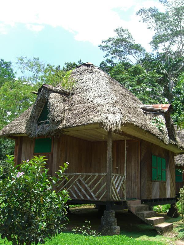 Suchipakari Jungle Lodge  2