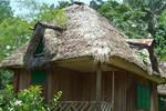 Suchipakari Jungle Lodge - Image 3