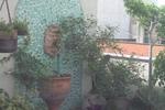 Donna Anna Maria - Image 7