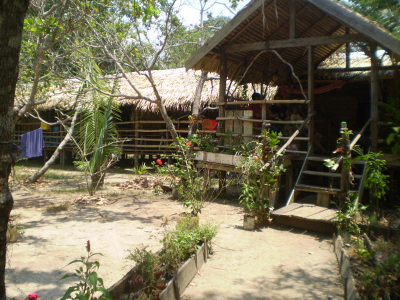 Manaus Jungle Hostel  0