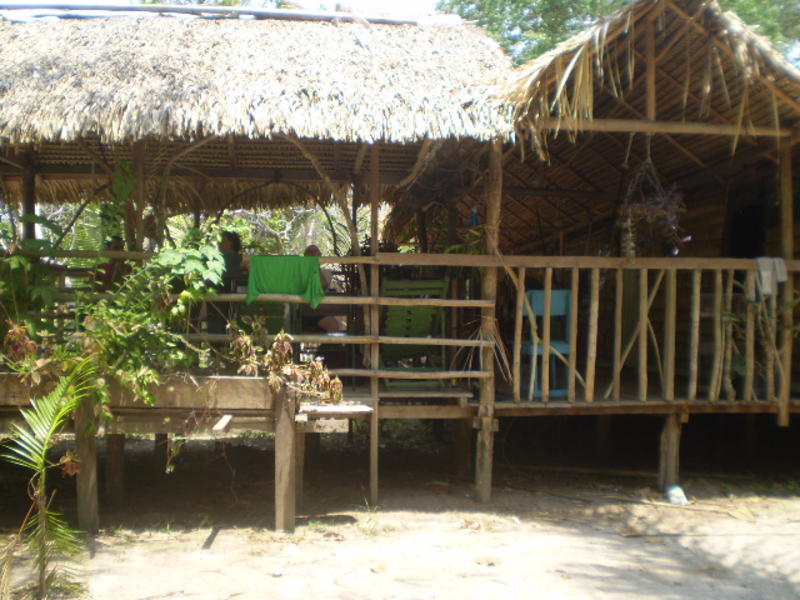 Manaus Jungle Hostel  1