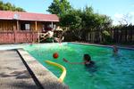 Kerikeri Farm Hostel - Image 2