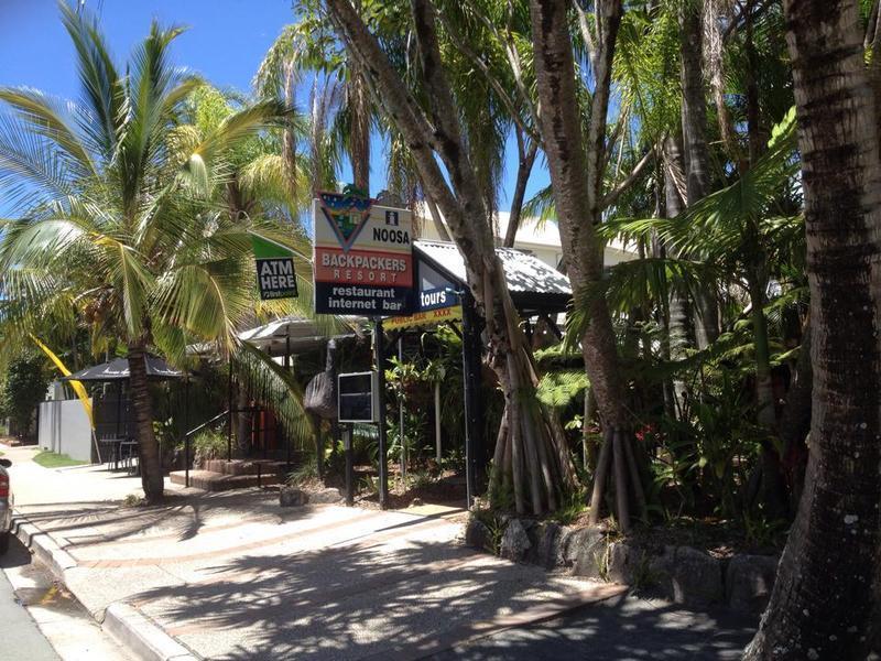 Noosa Backpackers Resort  0