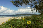 Noosa Backpackers Resort - Image 10