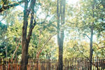Sunzal Point Surf Lodge & Retreat