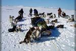 Engholm Husky design Lodge - Image 2