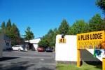 Iwiheke Backpackers / A-Plus Lodge - Image 3