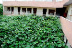 Hotel Sidhartha - Image 6