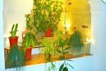 Photos of Hotel Villa Natali
